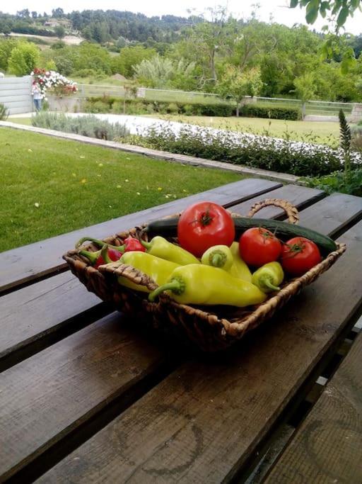 Luxury Villa Kassandrino Касандра Екстериор снимка